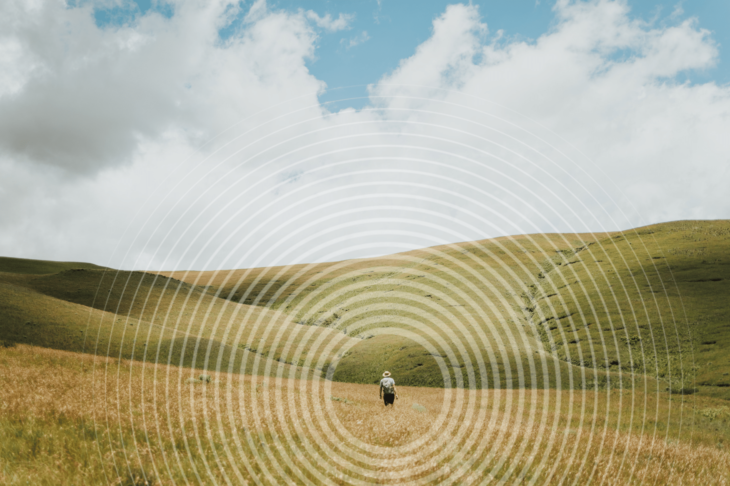 How fintech lenders transform credit access in rural communities.