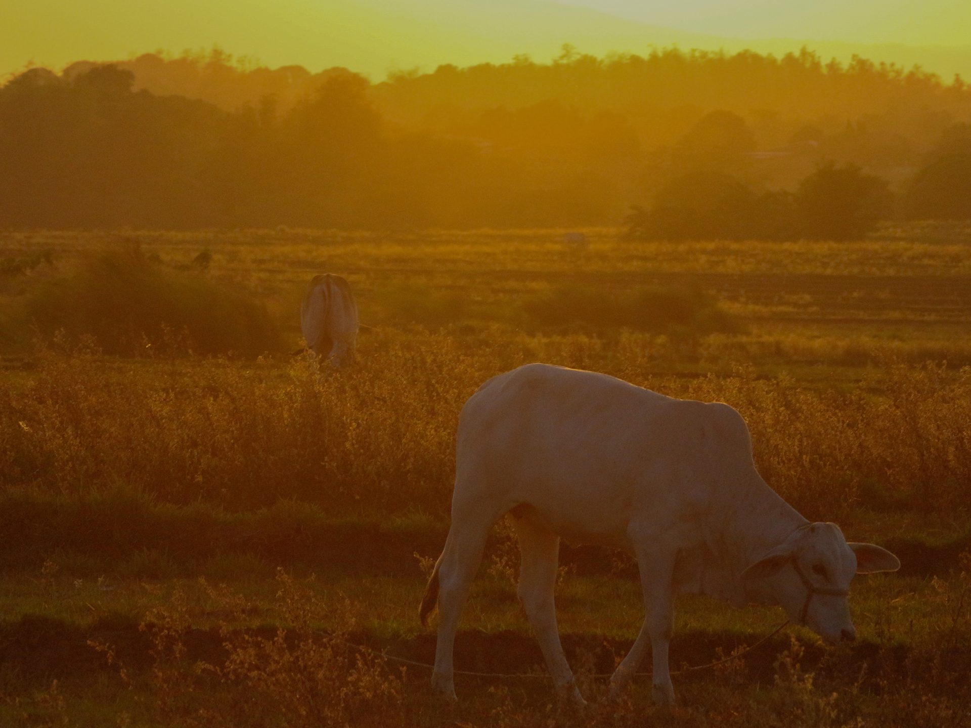 Five problems you need to solve when customers can’t reach your rural bank branch