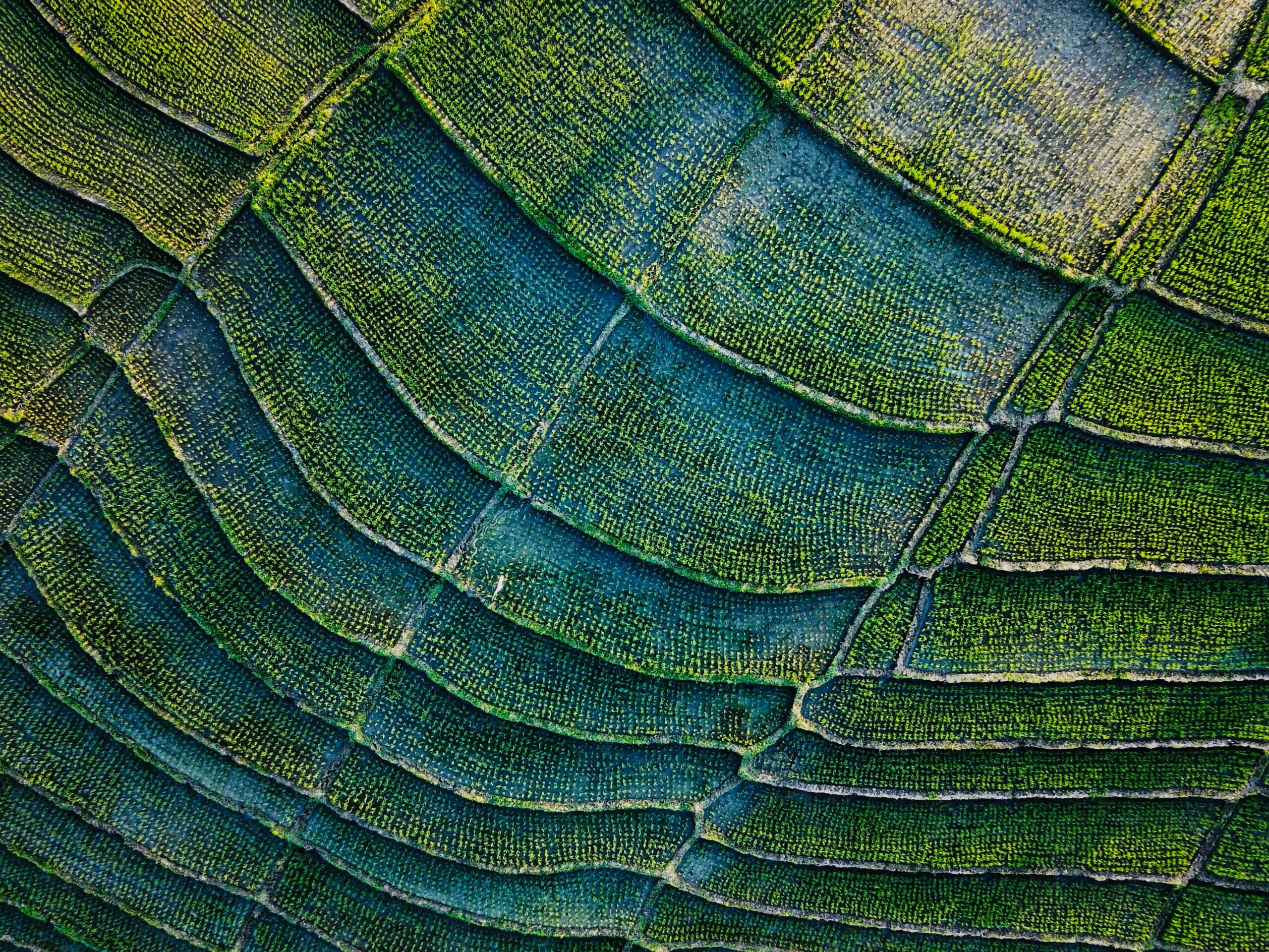 Why your fraud tools are only as good as your data layer