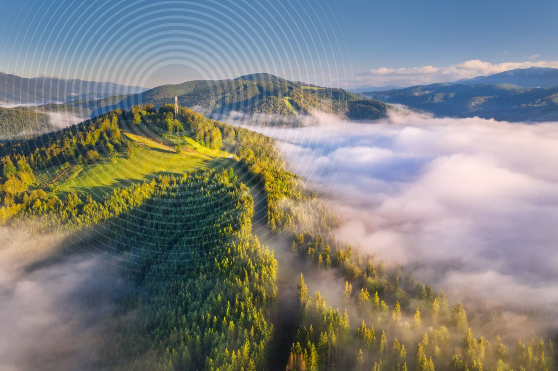 Community vs private cloud: Make the right investment for your institution.