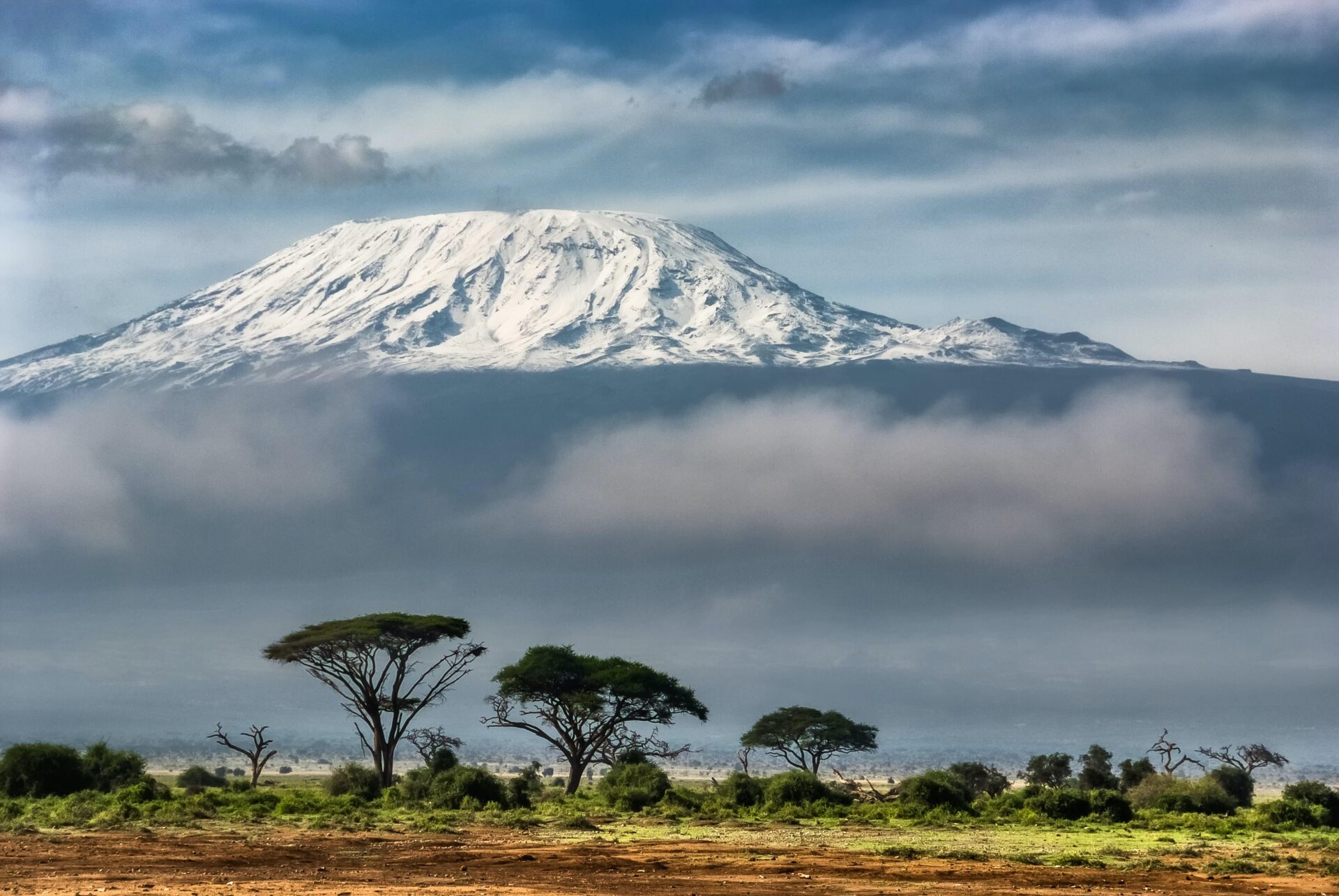 Kenya’s Central Bank casts a watchful eye over its digital lenders.