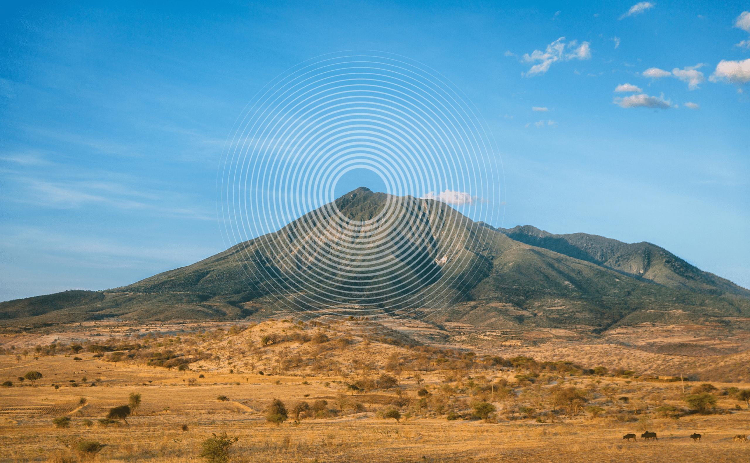 How Oradian's robust infrastructure guarantees uptime
