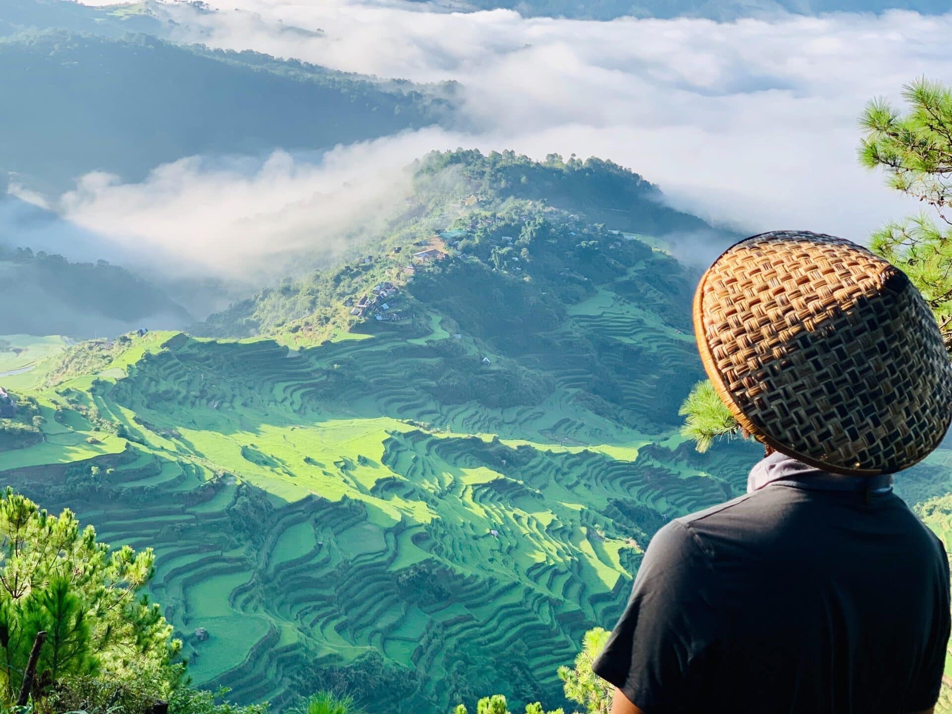 Years of growth: How Oradian takes you further